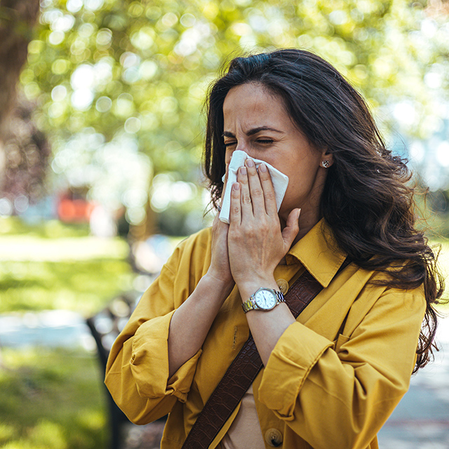 Raffreddore da fieno